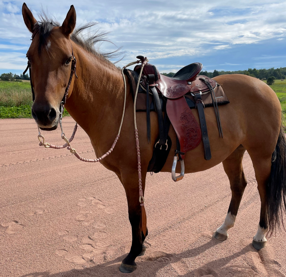 Romal Reins Cuir Brut Naturel Vache, Romel Reins 20 Tresses