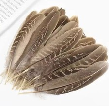 10pcs Natural Pheasant Feathers 15-17cm DIY Art Craft Millinery Smudge Fan