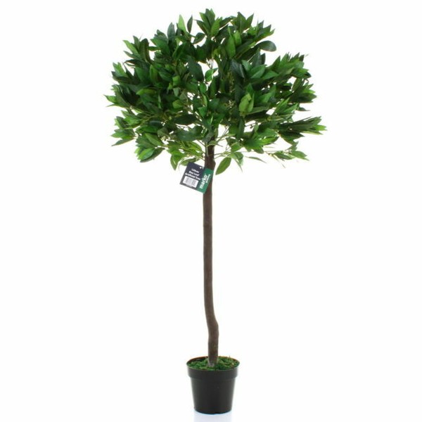 Marko 4ft. Indoor & Outdoor Artificial Bay Leaf Tree for sale online eBay