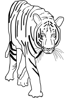 Sticker Tiger Aufkleber