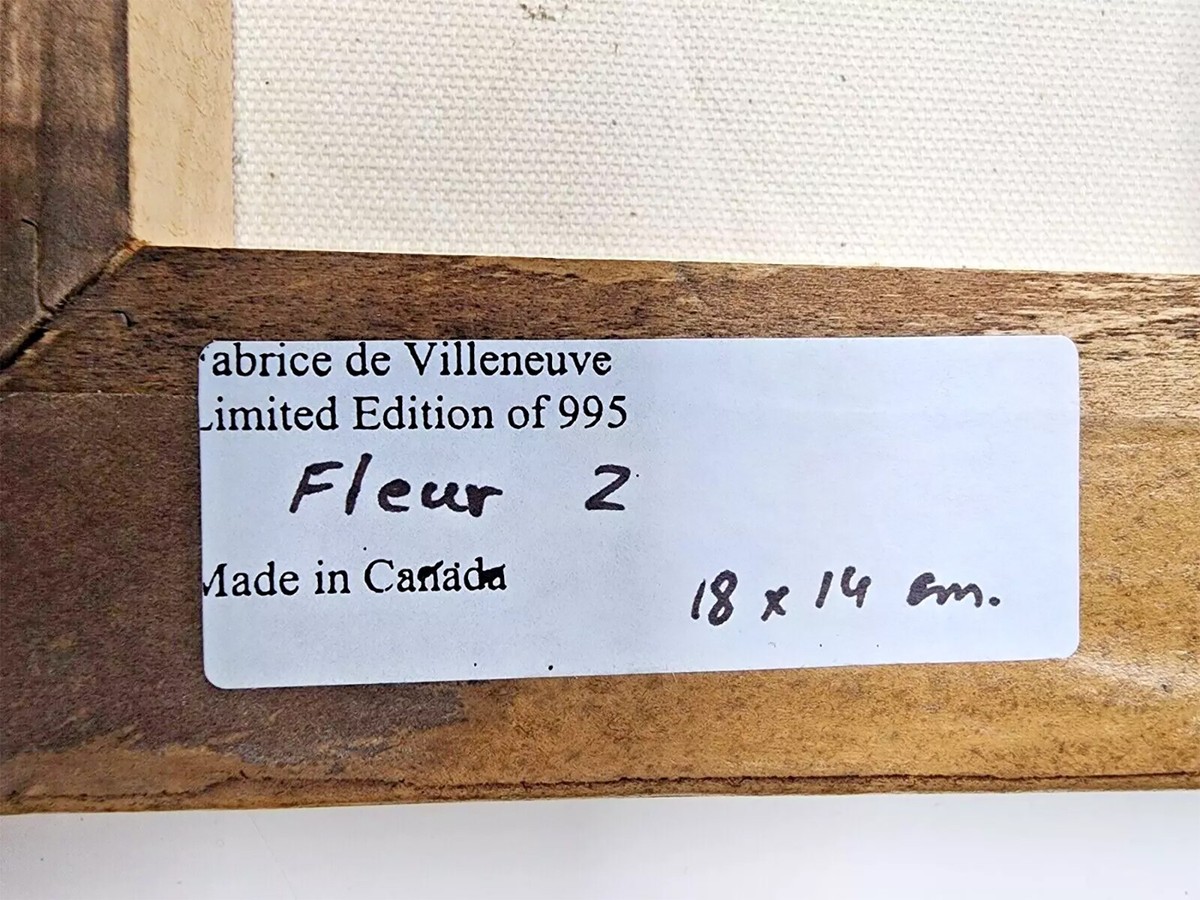 ファブリス・ドゥ・ヴィルヌーブ　Fabrice De Villeneuve Fabrice de Villeneuve Authentic Canvas Painting - Limited