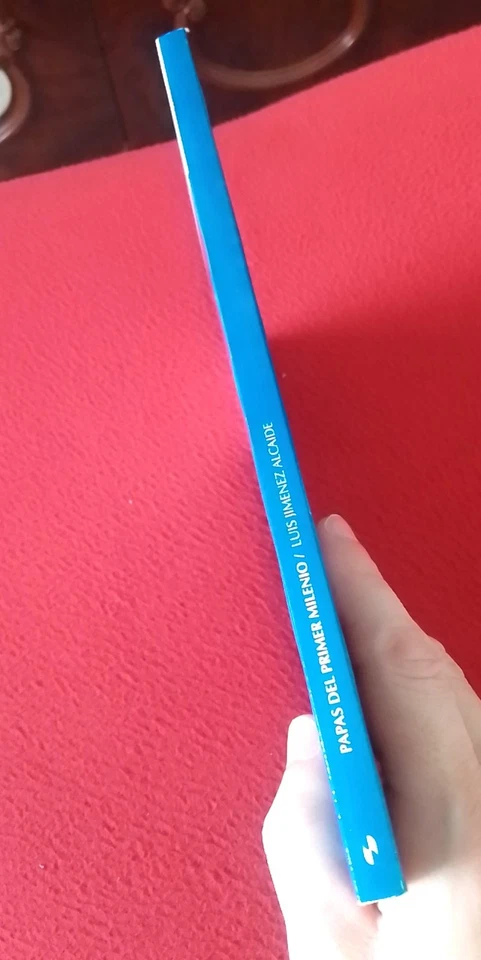 LIBRO PAPAS DEL PRIMER MILENIO, 2005, LUIS JIMENEZ ALCAIDE RELIGION 135 PAGINAS. - Imagen 3 de 4
