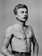 Vintage Tattoo Image 14 x 11" Photo Print