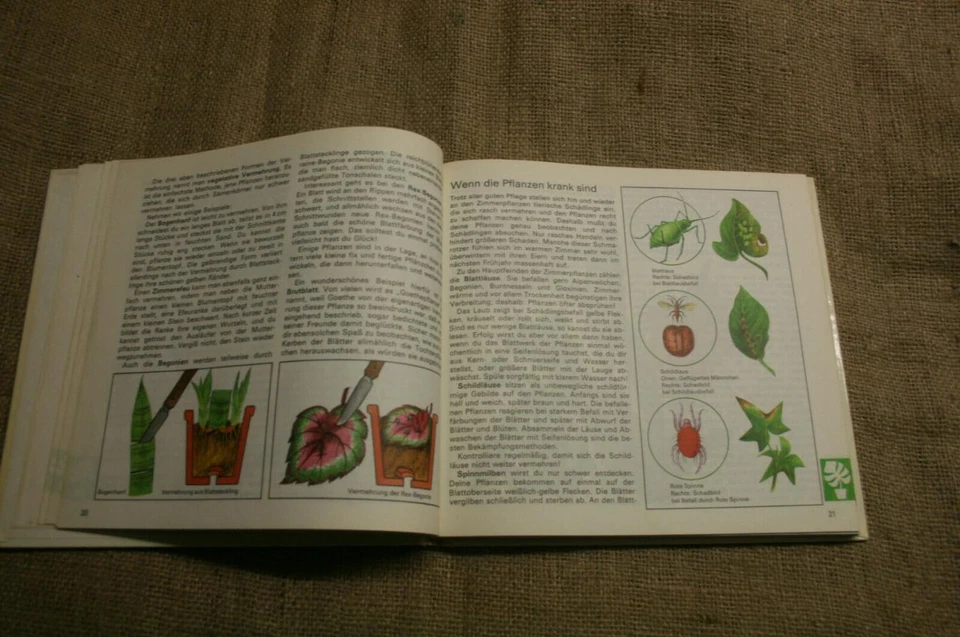 Gartenbuch Kindergarten Schulgarten Experimente Botanik gärtnern DDR 1986 - Bild 3 von 4