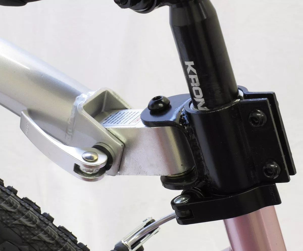 Tag along on sale bike bracket