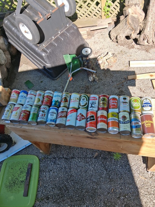 30 Assorted Empty Beer Cans