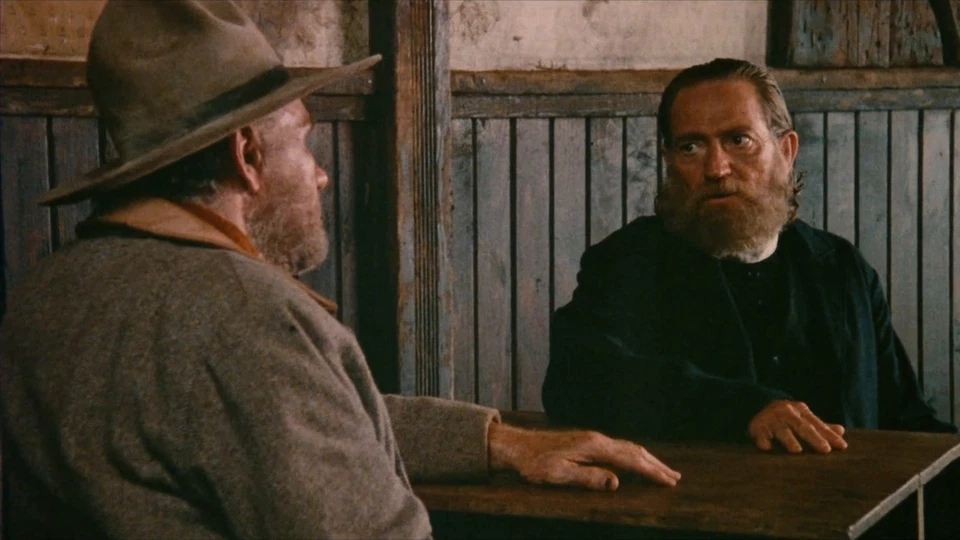 Red Headed Stranger (1986) Western DVD Willie Nelson – Public Domain DVD NO CASE - Image 4 of 4