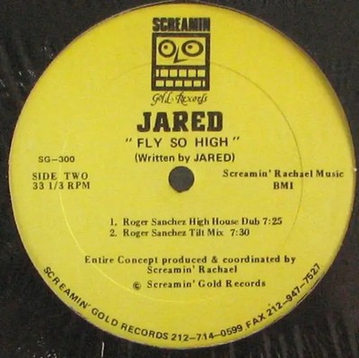 Jared Fly So High Vinyl Single 12inch Screamin Gold Records