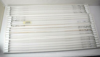 Pack Of 20 Parmida 4FT LED T8 Ballast Bypass Type B Tube Light Clear Lens