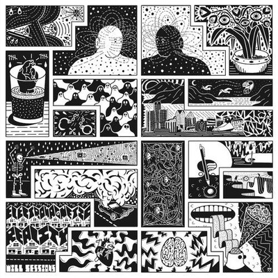 Will Sessions Electromagnetic Reality Records & LPs New