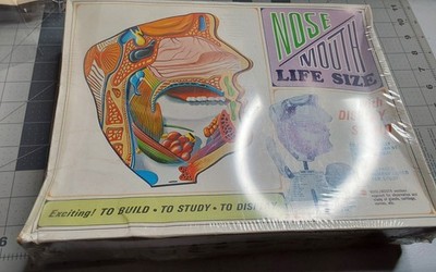 k Pyro Sealed Boxed Nose mouth Life Size Model Kit S374-300