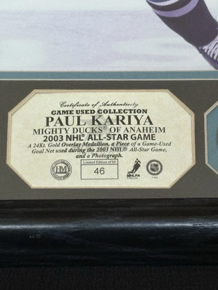 Paul Kariya Anaheim Mighty Ducks Framed Photo & Game Used Net FREE SHIPPING - Image 2 of 4