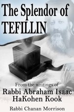 Splendor of Tefillin : Insights into the Mitzvah of Tef -  NEW Chanan Morrison 2