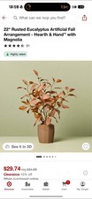 Hearth  Hand with Magnolia 22" Rusted Eucalyptus Artificial Fall Arrangement