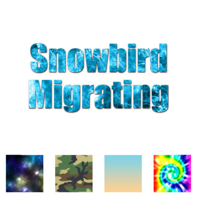 Snowbird Migrating Funny - Decal Sticker - Multiple Patterns & Sizes - ebn1883