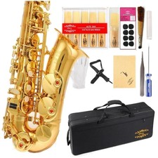 Gold Alto Saxophone with 11 Reeds Case