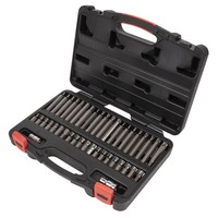 Sealey Torx-Stern/Sechskant/Spline Bit Set 42Pc 1Cm & 1.3Cmsq Drive AK21942P