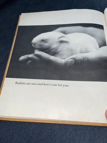 A BABY BUNNY FOR YOU - CHILDREN'S BOOK - WALTER CHANDOHA 1968 - Picture 8 of 8