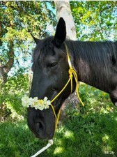 Knotenhalfter mit Blumen