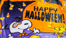 Brand New Hallmark Halloween Snoopy  Woodstock Plush Throw Blanket 52 x 60 NWT
