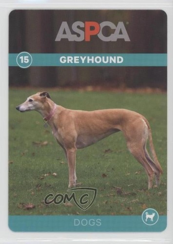 2016 ASPCA Trading Cards Greyhound #15 2rz | eBay