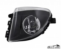 Nebelscheinwerfer Links FüR Bmw F10 Limo F11 Kombi 09-13
