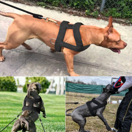 Dog Weight Pulling Harness for Pitbulls Training Adjustable Medium Large Vest - Picture 7 of 13