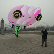 3D 8 Sqm 1 Line Stunt Parafoil Wizard Tadpole POWER Sport Kite outdoor toy AAA