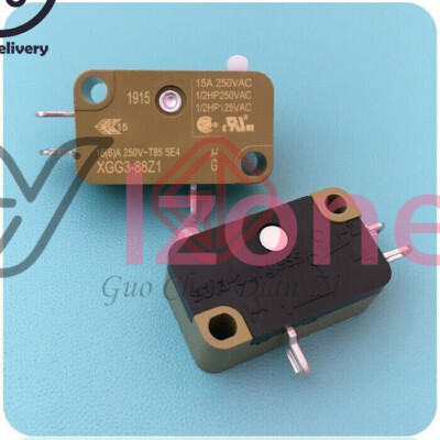 Stock Di 2X SAIA XGG7P-J22Z321 Micro Switch 15A 250VAC