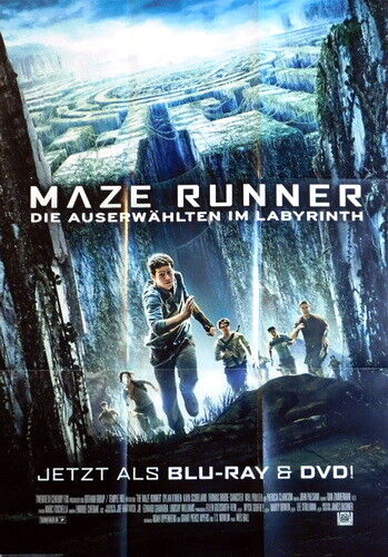 The Maze Runner - 2014 - Original Movie Poster – Art of the Movies