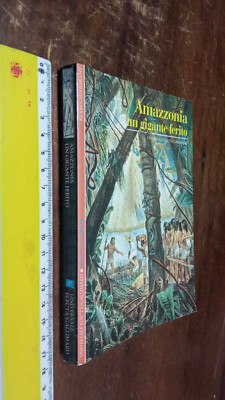 BUCH: Amazonas. Ein verwundeter Riese Gheerbrandt, Alain