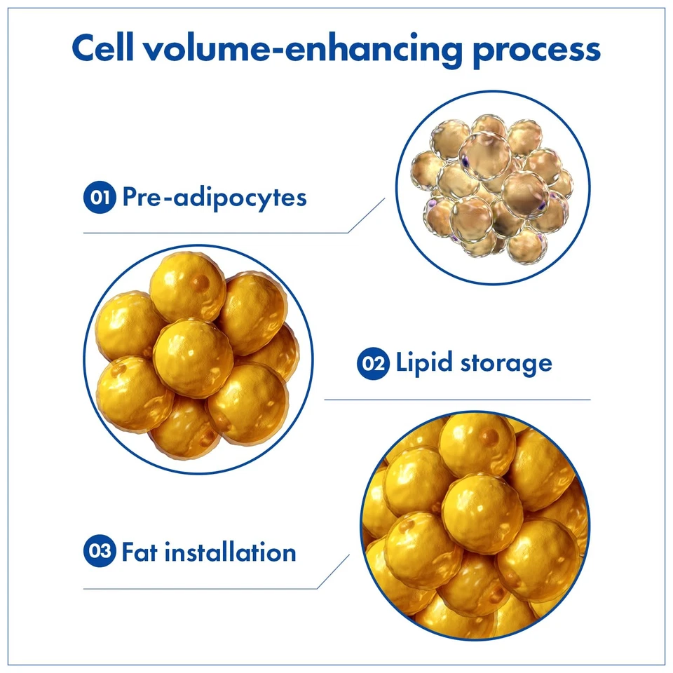 Suero Volufiline, 100% Francia Sederma Volufiline Concentrado para Rellenar, Sk... Foto 4 de 4