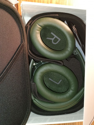   Bose QuietComfort Wireless Noise Cancelling Headphones   CYPRESS GREEN | Limi