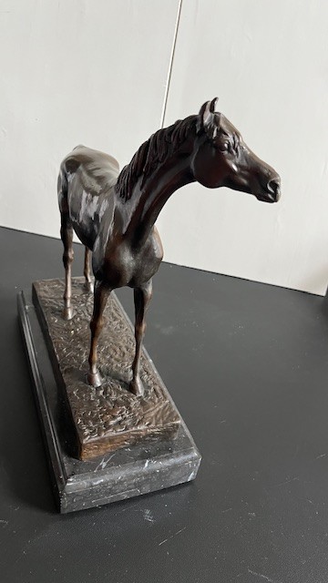 Bild 6 von 11