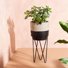 Grey and Black Dip Cement Planter on Black Metal Pot Stand