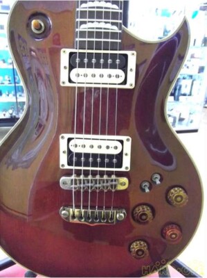 Aria ProⅡ LesPaul Standard ハードケース Tokai