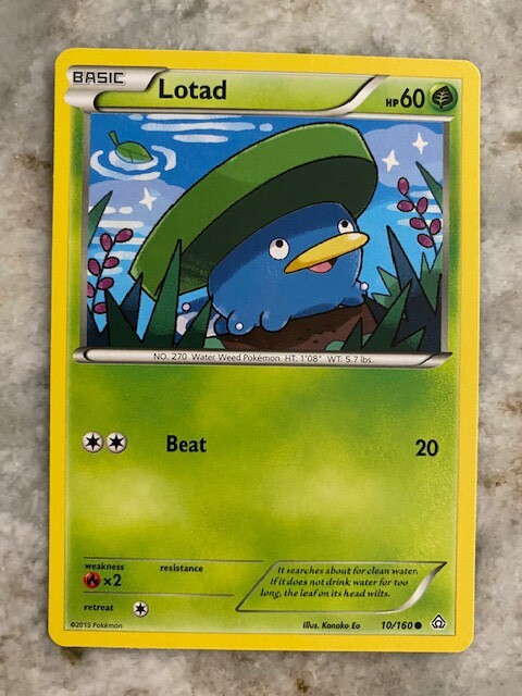 Pokemon TCG Lotad Card Primal Clash 10/160 NM