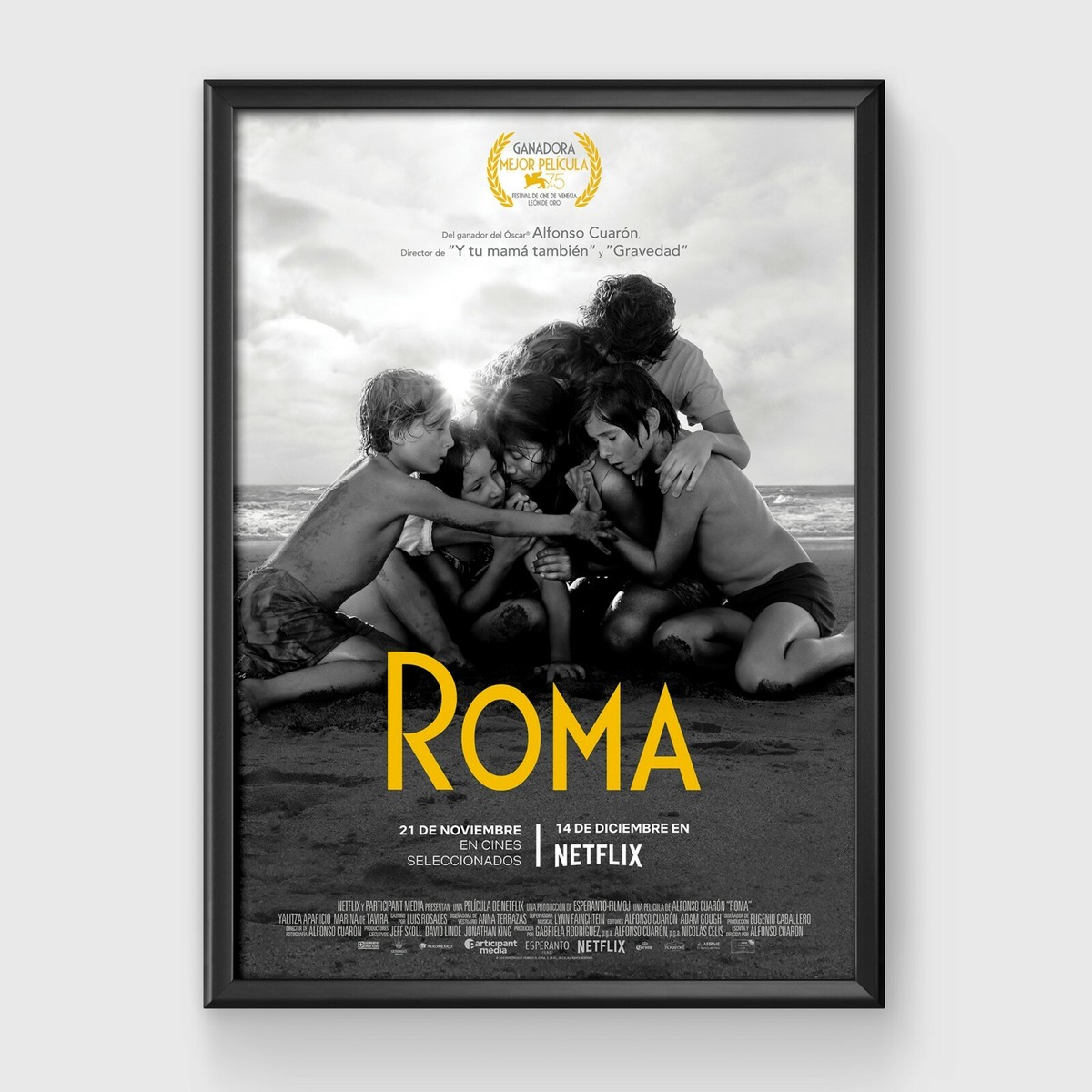 Affiche Originale Du Film ROME De Cuarón - Mexique - Grande Affiche Roulée, Rare