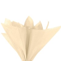 "10 Blatt Geschenk Seiden Papier 20\"X 26\" FüR Dekor Diy Basteln Beige"
