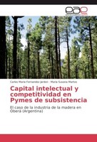 Capital Intelectual Y Competitividad En Pymes De Subsistencia Carlos Maria Ferna
