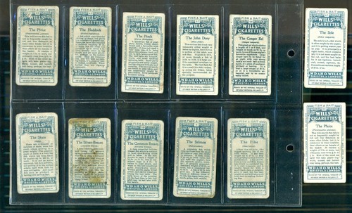 WILLS'S - SERIE FISH AND BAIT - JUEGO DE PIEZAS 12 TARJETAS DE CIGARRILLOS VINTAGE - Imagen 2 de 2