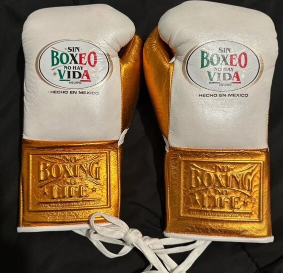 NO BOXING NO LIFE ボクシンググローブ 10オンス NO BOXING NO LIFE ボクシンググローブ 10オンス NO BOXING NO