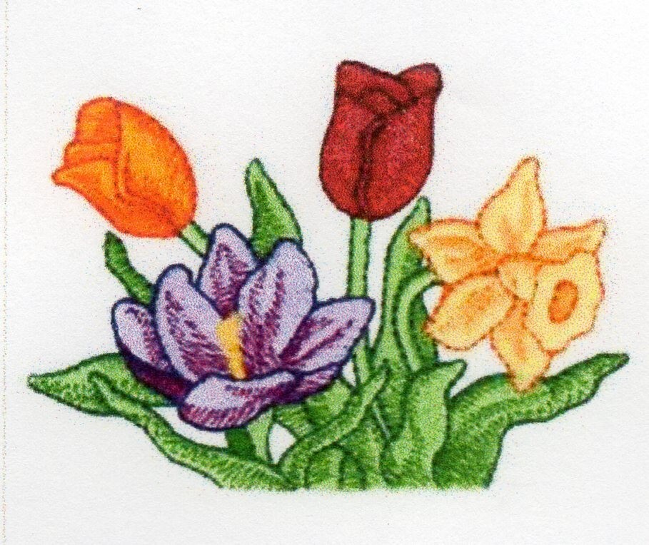Foto 1 di 5