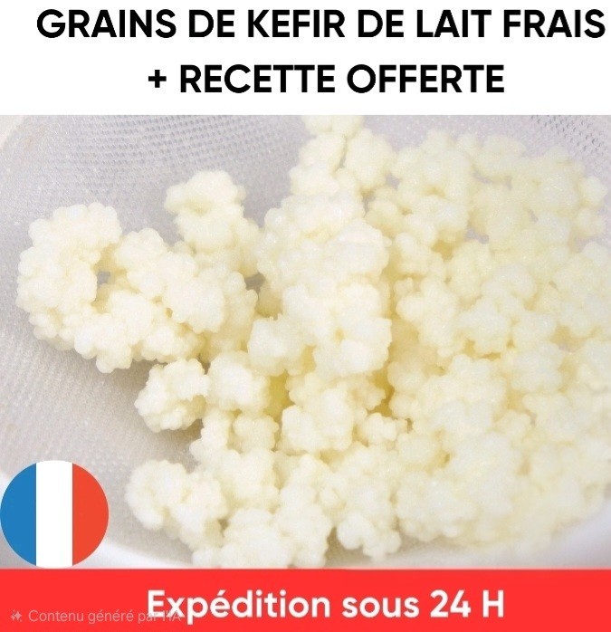 8G Grains De Kéfir De Lait Vivants PUR Probiotiques Prébiotiques 100%