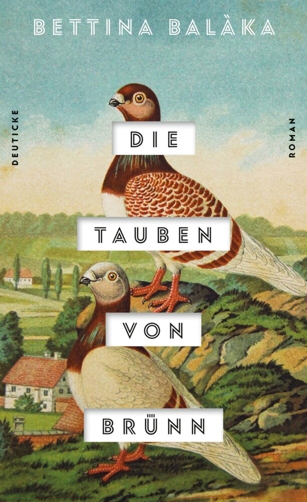 Thumbnail - Die Tauben Von Brünn Roman Bettina Balàka Buch 192 S. Deutsch 2019