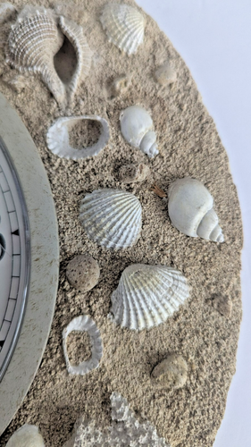 Kirch Wall Round Clock Home Decor Beach House Send Seashell 13in Quartz Working - Picture 9 of 18