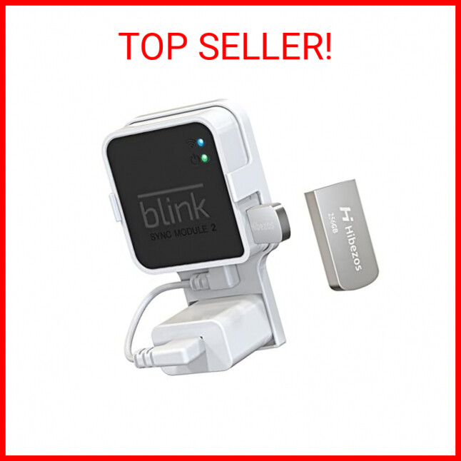 256GB USB Flash Drive and Outlet Mount for Blink Sync Module 2, Save Space and E-image
