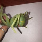 Picture 10 of 10