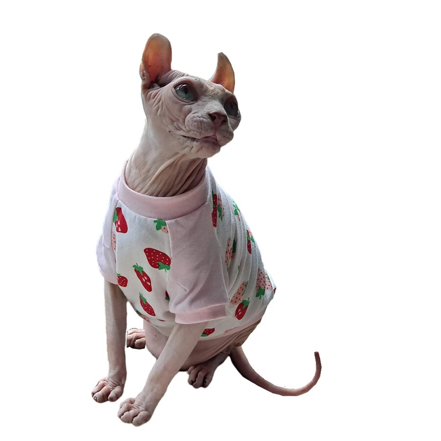 Sphynx Cat Girls Clothes  Chanel Dress with Bow for Sphynx Cat