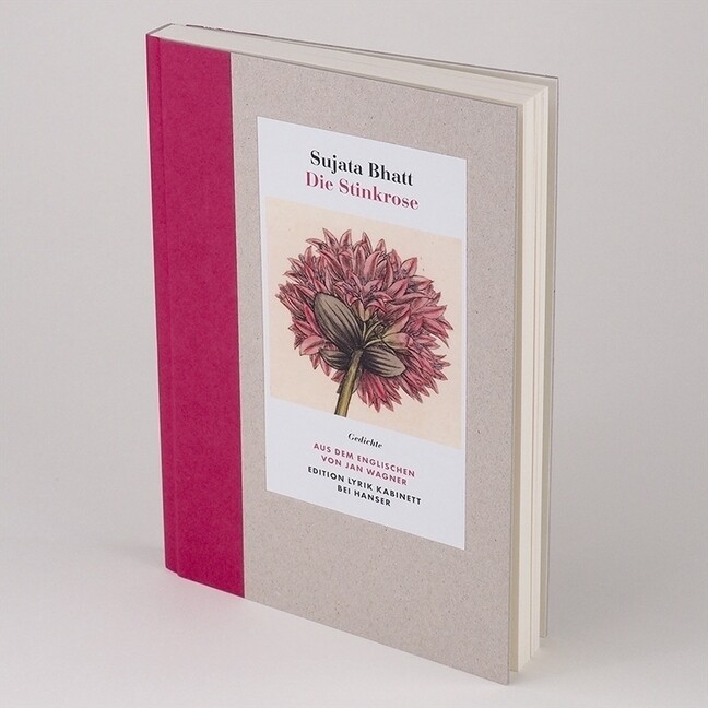 Thumbnail - Die Stinkrose Gedichte. Edition Lyrik Kabinett Sujata Bhatt Buch 176